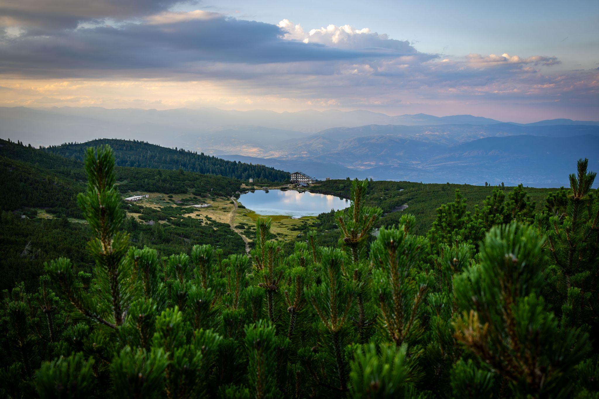 IMG 1193 Enhanced NR copy